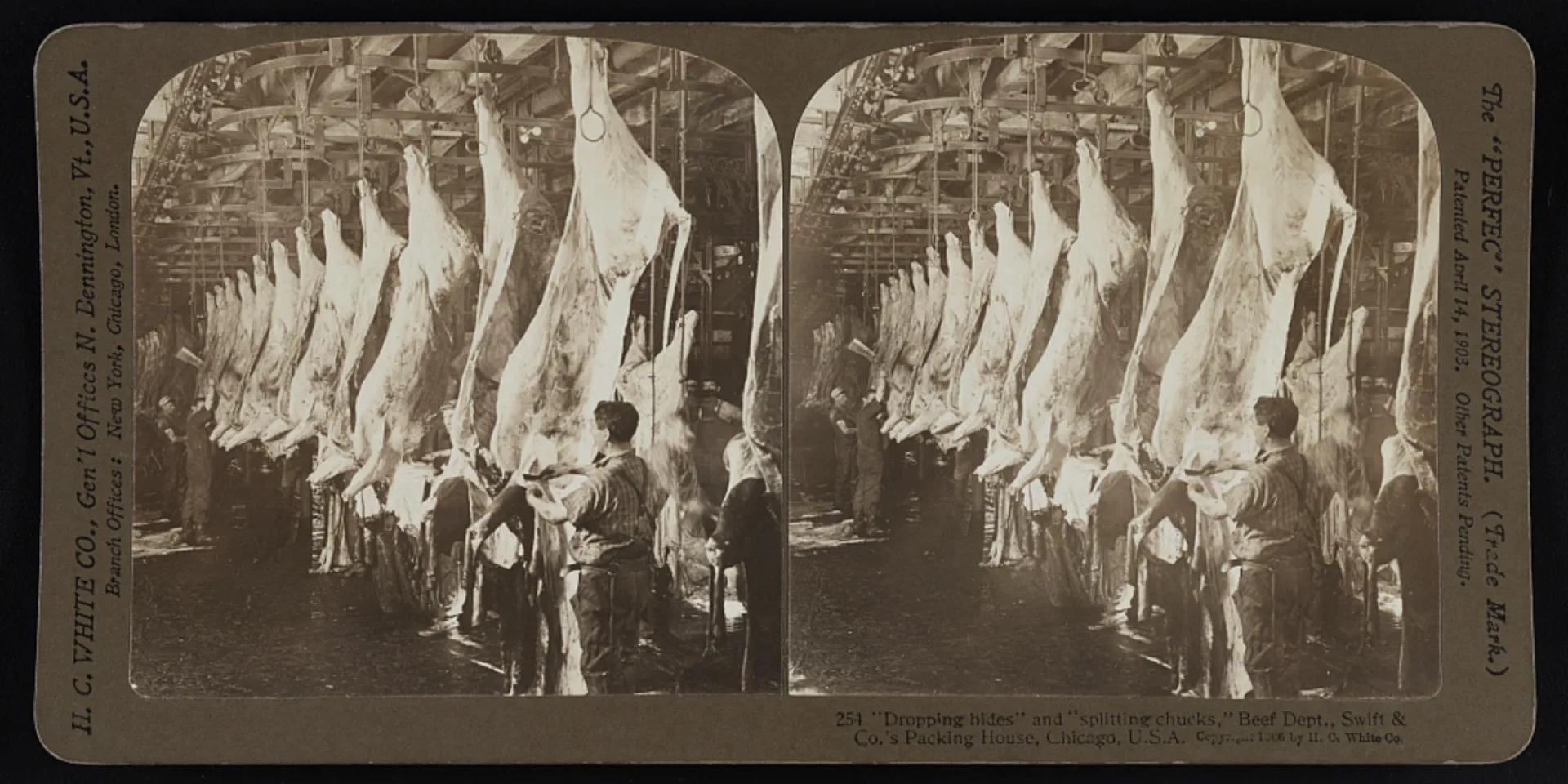 Workers dressing beef carcasses at Swift's packing house, Chicago, 1906
