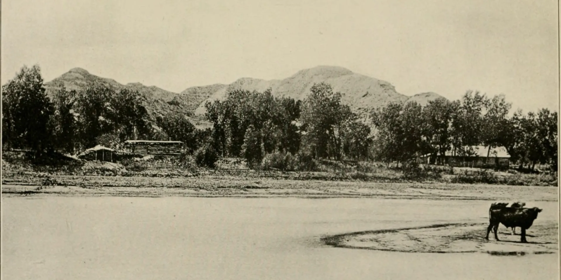 Log ranch buildings among cottonwoods across a wide, shallow river, with eroded buttes behind and a cow standing on a sandbar.