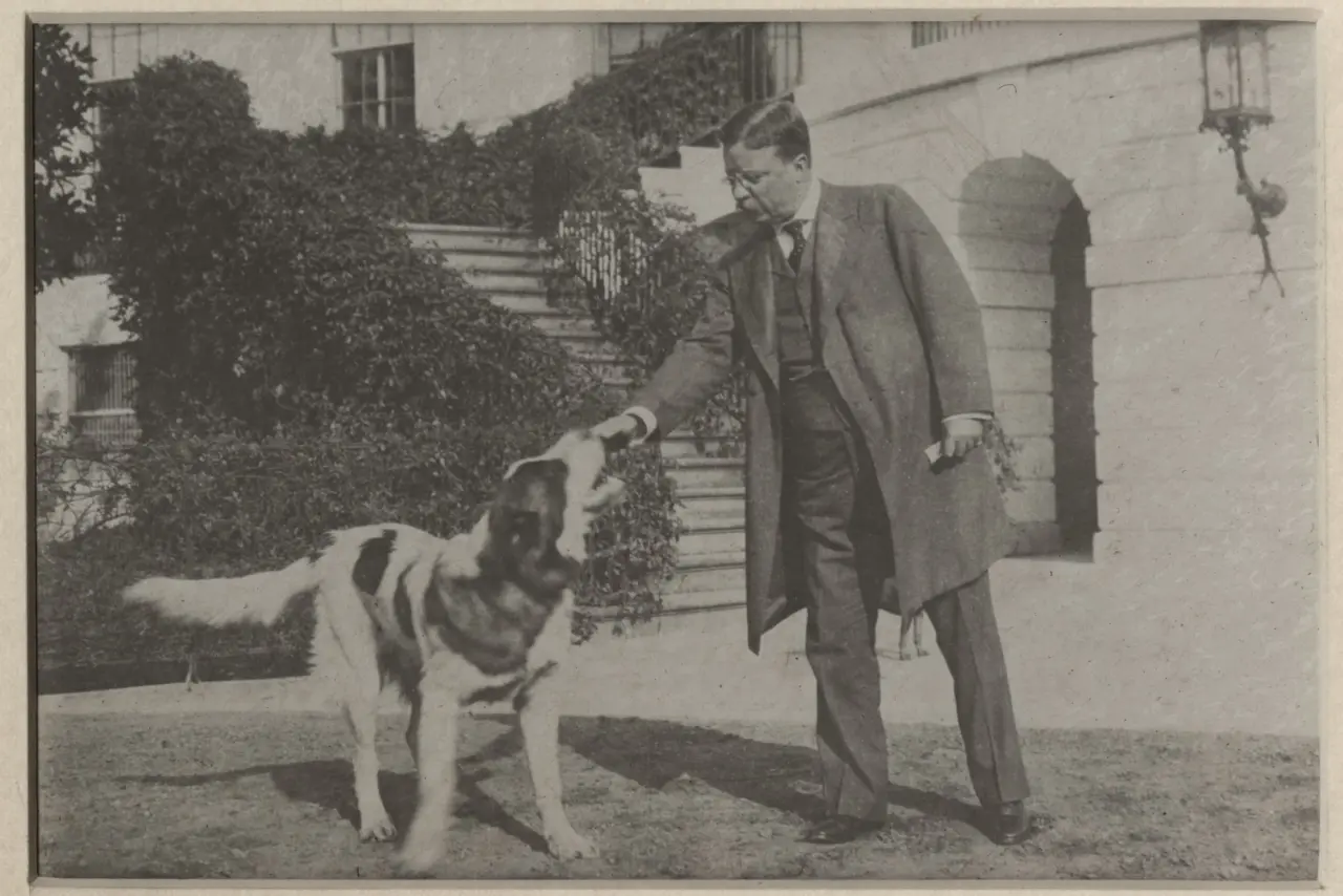 TR and Animals Quiz
