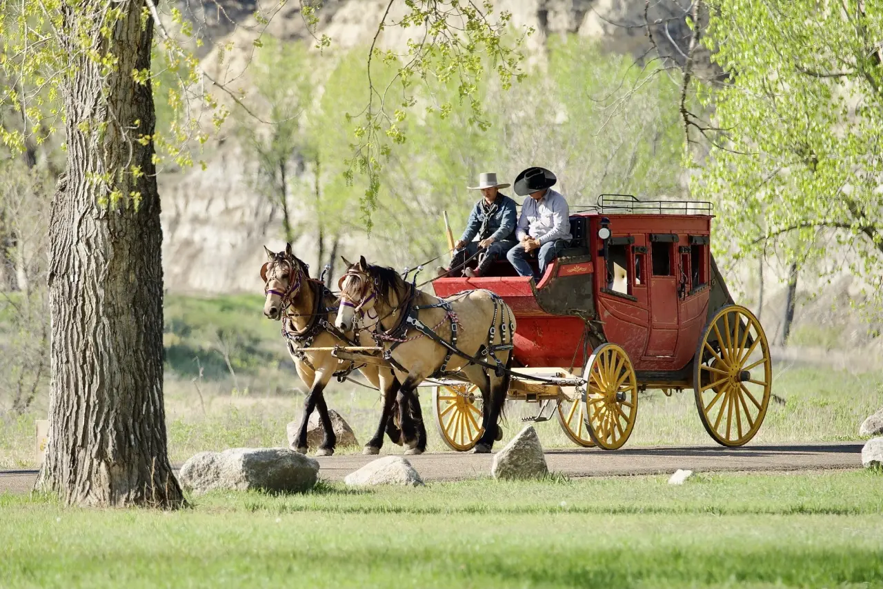 Stagecoach Rides