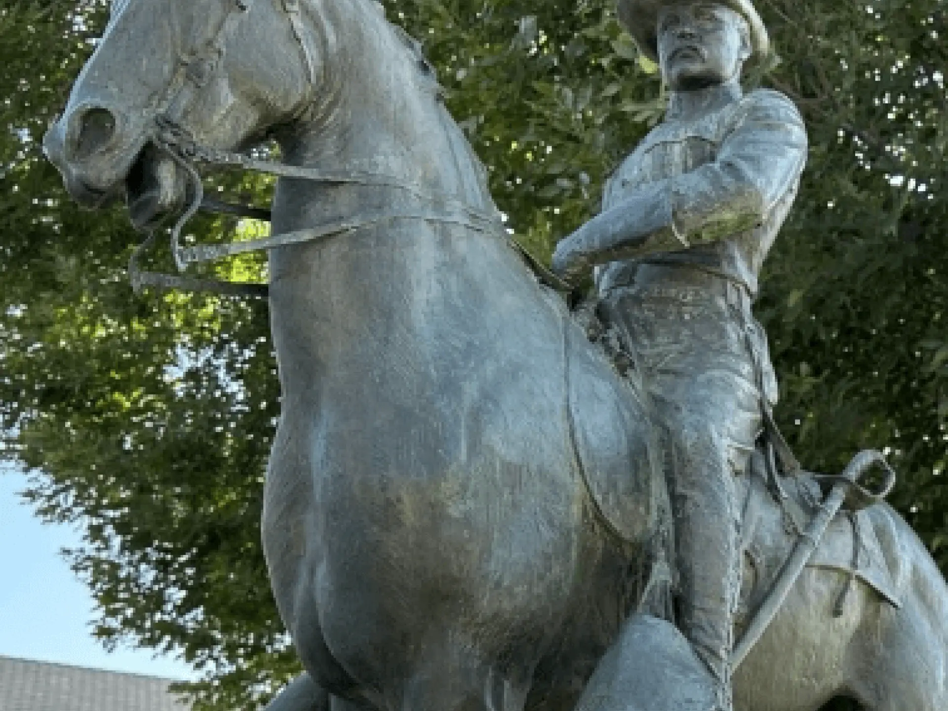 Equestrian statue of a historical figure under a tree.