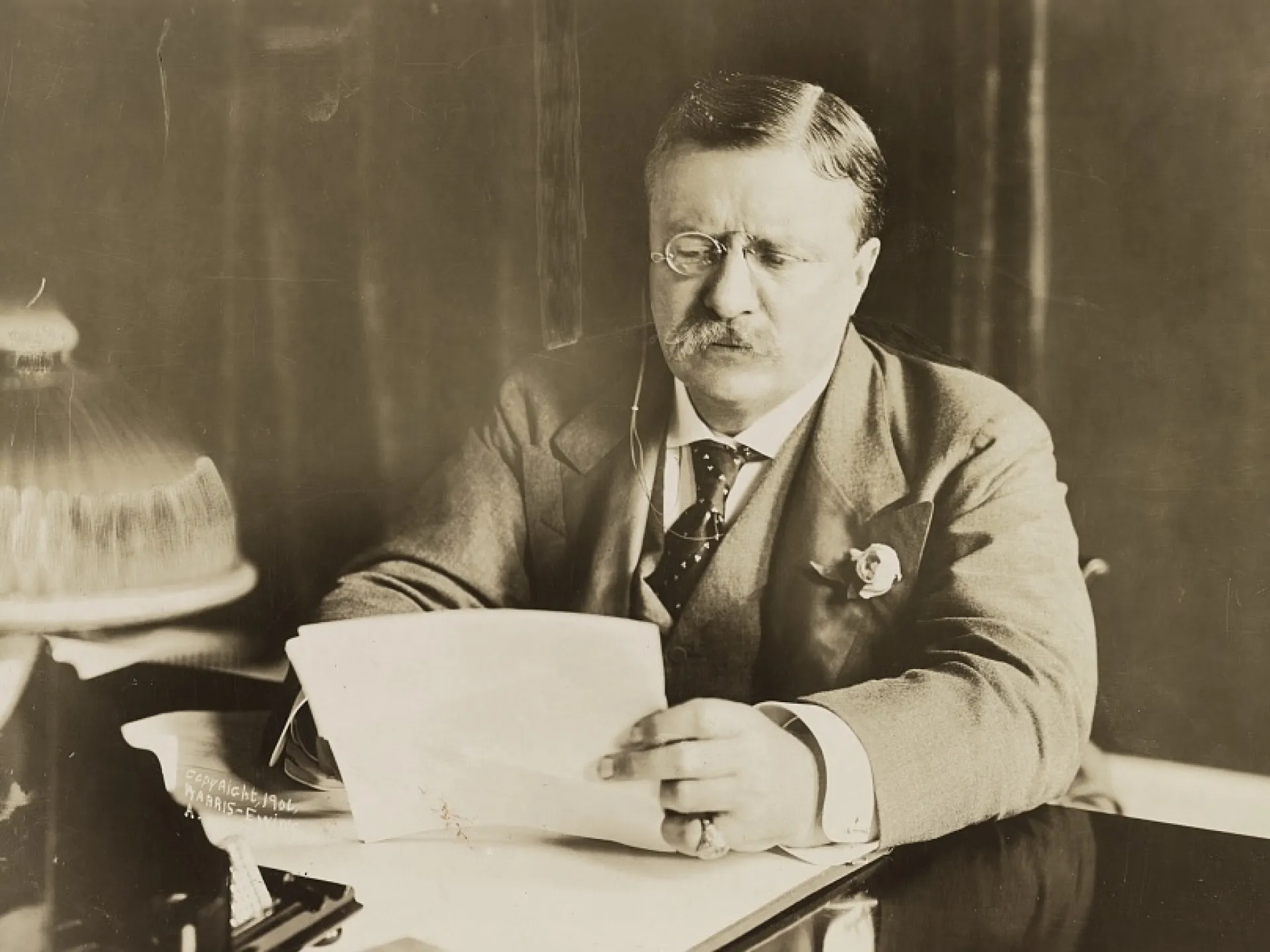 Theodore Roosevelt Reading