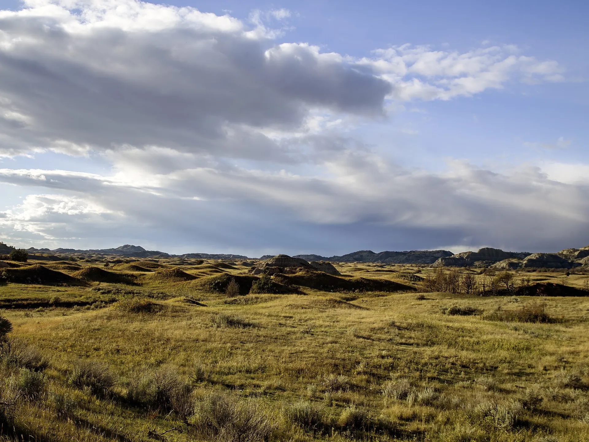 Rolling green Badlands buttes and prairie under a dramatic sky in Theodore Roosevelt National Park, North Dakota