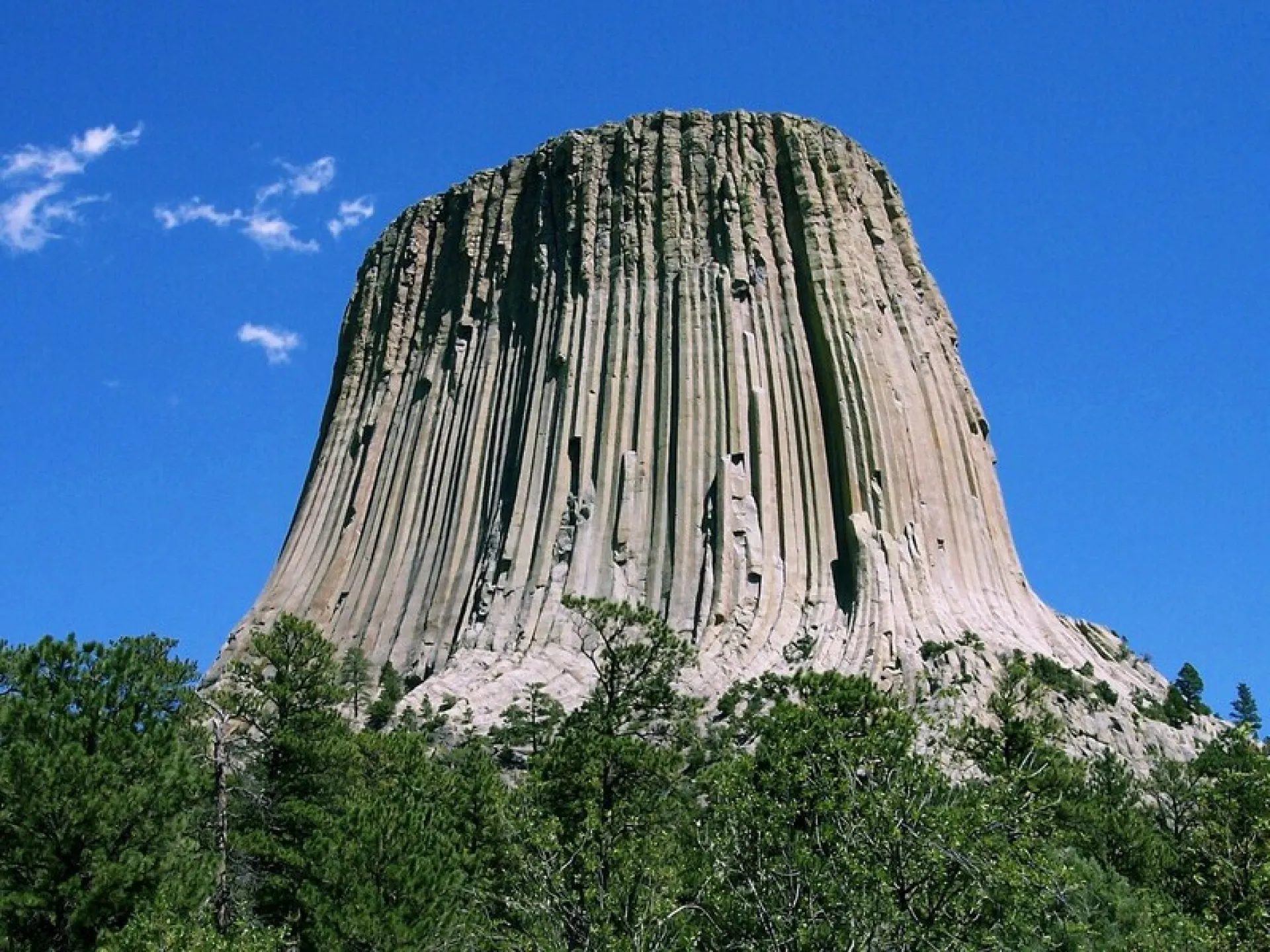 Devils Tower rising above pine forest under a blue sky