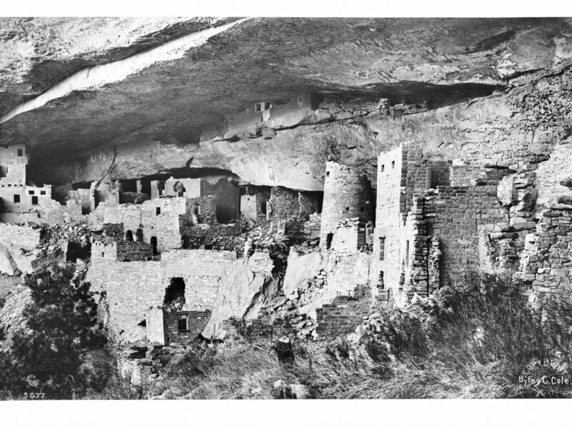 The cliff dwellings of Cliff Palace at Mesa Verde