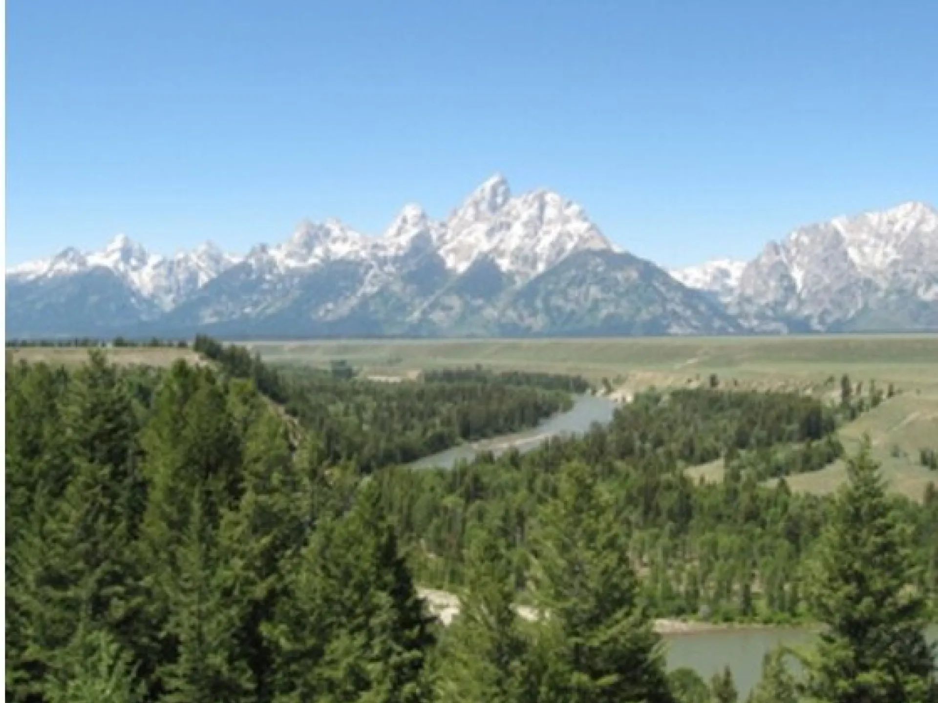 The Snake River bending through pine forest with the Teton Range on the horizon, seen from Snake River Overlook