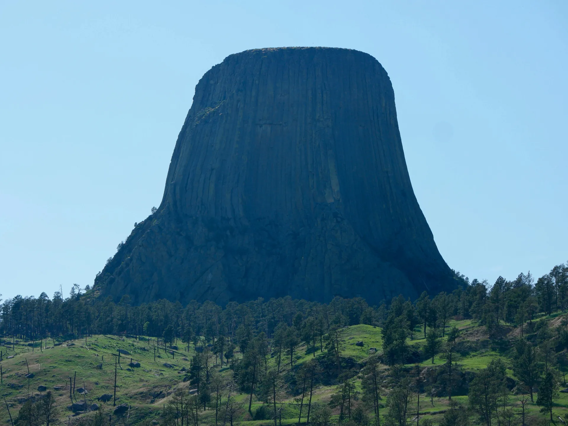 Devils Tower rising above the pine forest of northeastern Wyoming, the first national monument in the United States