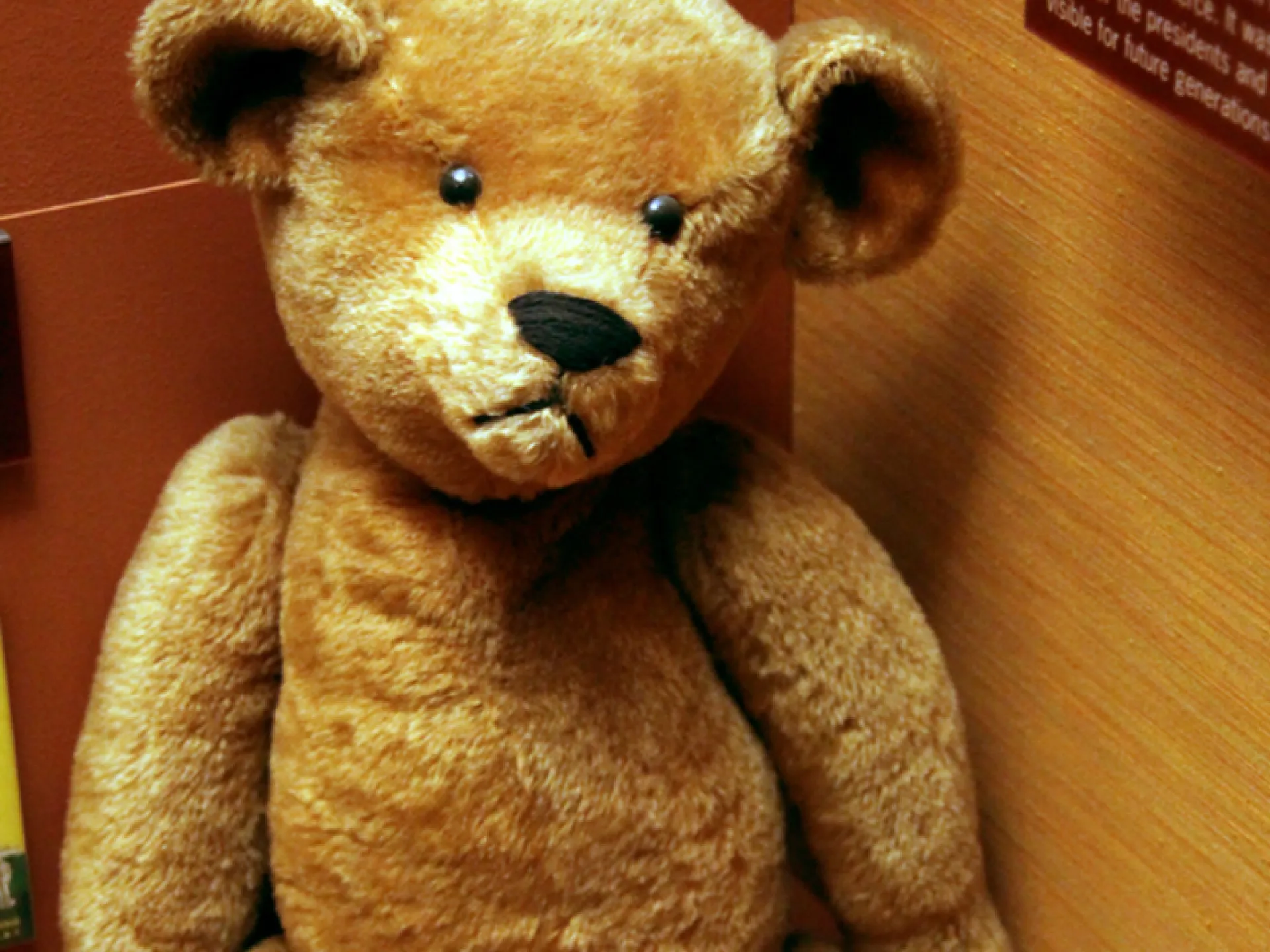 An antique golden-brown teddy bear seated in a museum display case