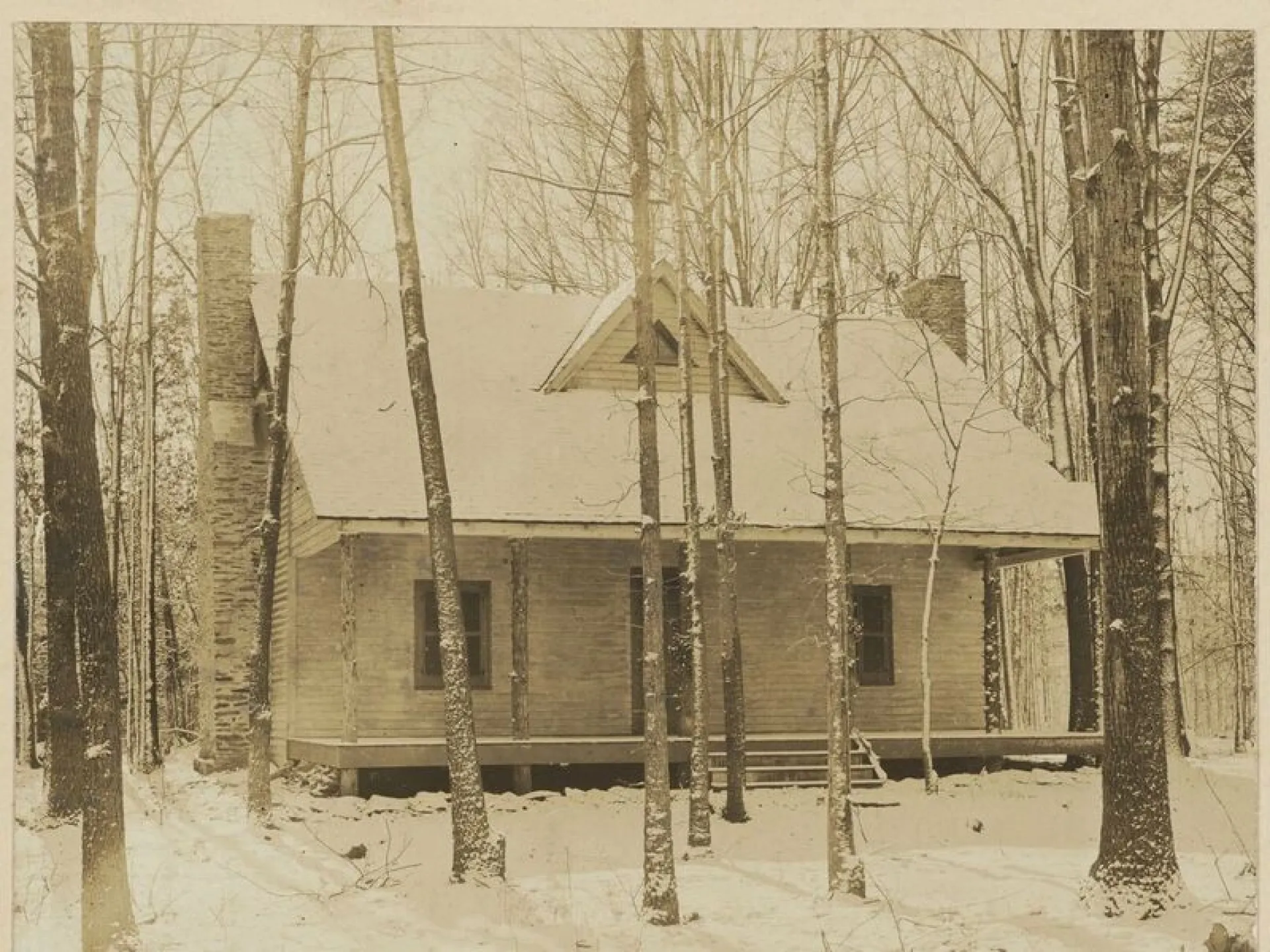 The rustic Pine Knot cabin among bare trees in Albemarle County, Virginia