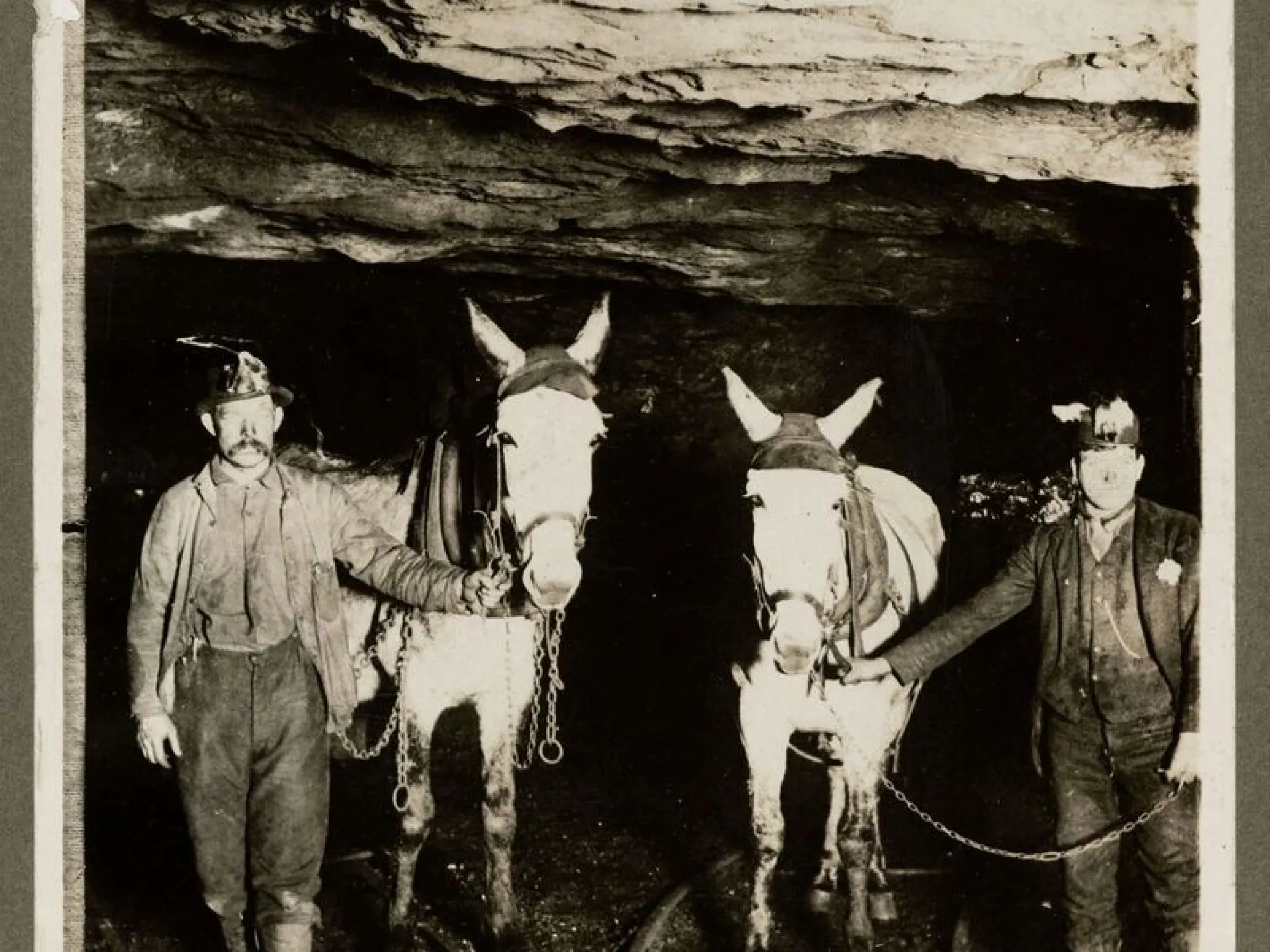 Coal miners with mules at the entrance of an anthracite mine