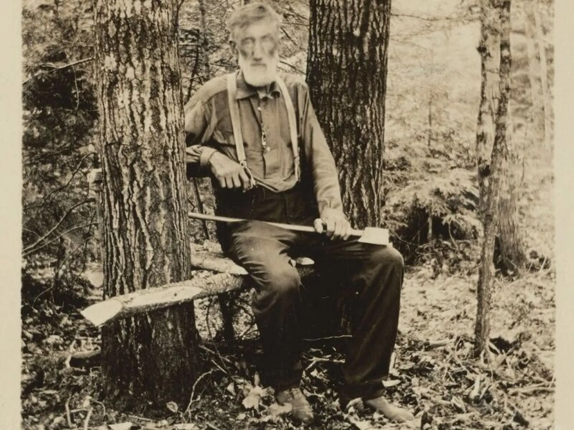 Theodore Roosevelt in hunting dress beside a felled tree