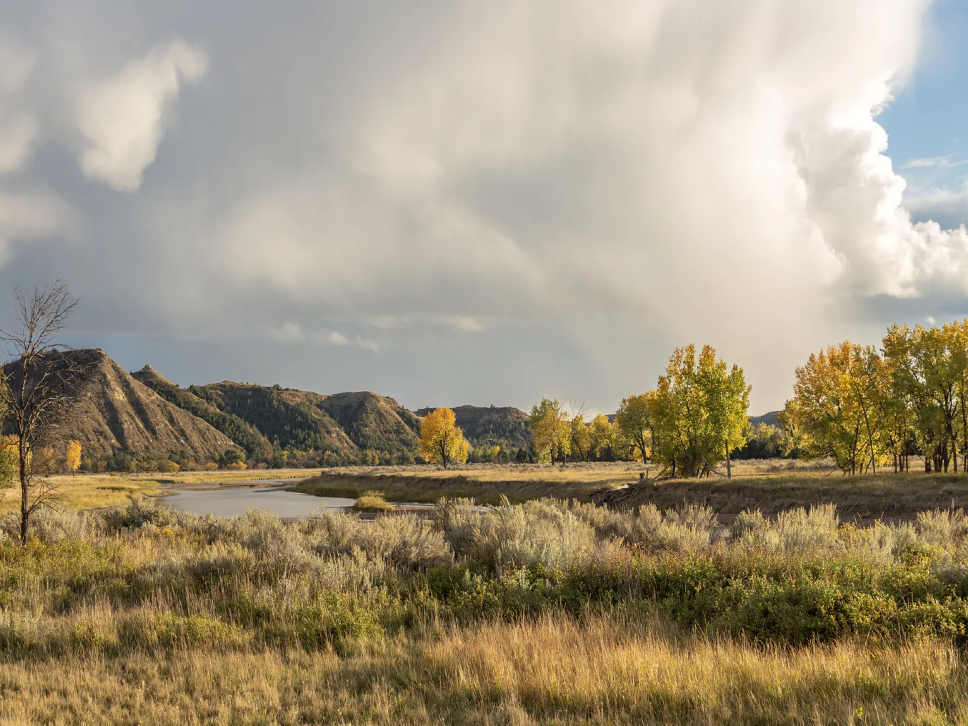 The Little Missouri River winding past cottonwood groves and prairie in Theodore Roosevelt National Park