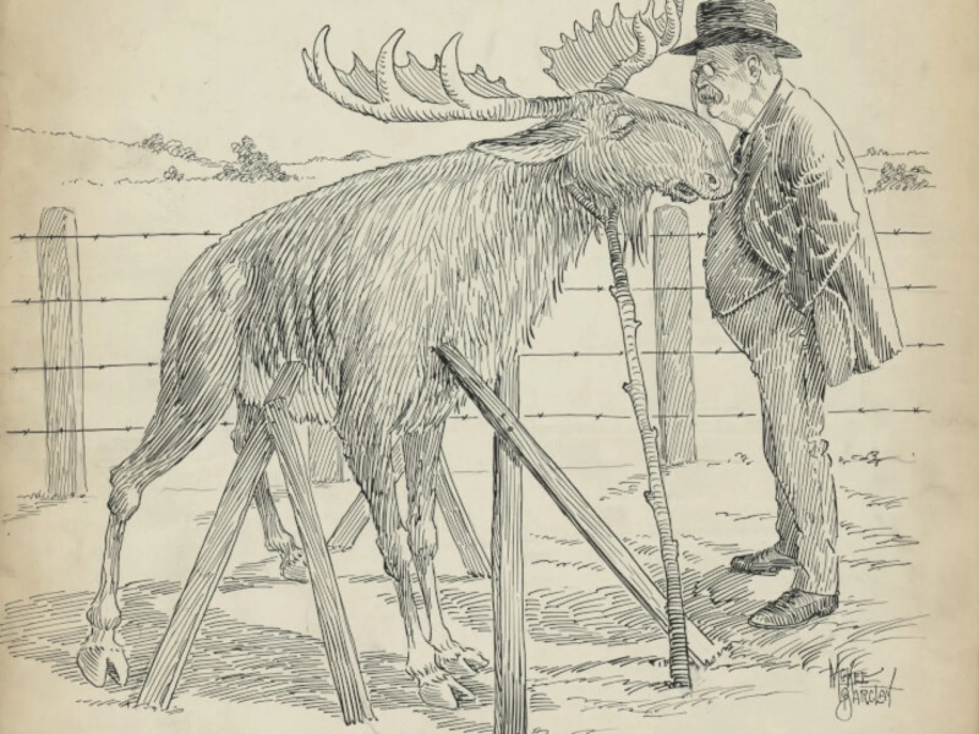 Period political cartoon of Theodore Roosevelt inspecting a makeshift moose propped on sawhorses