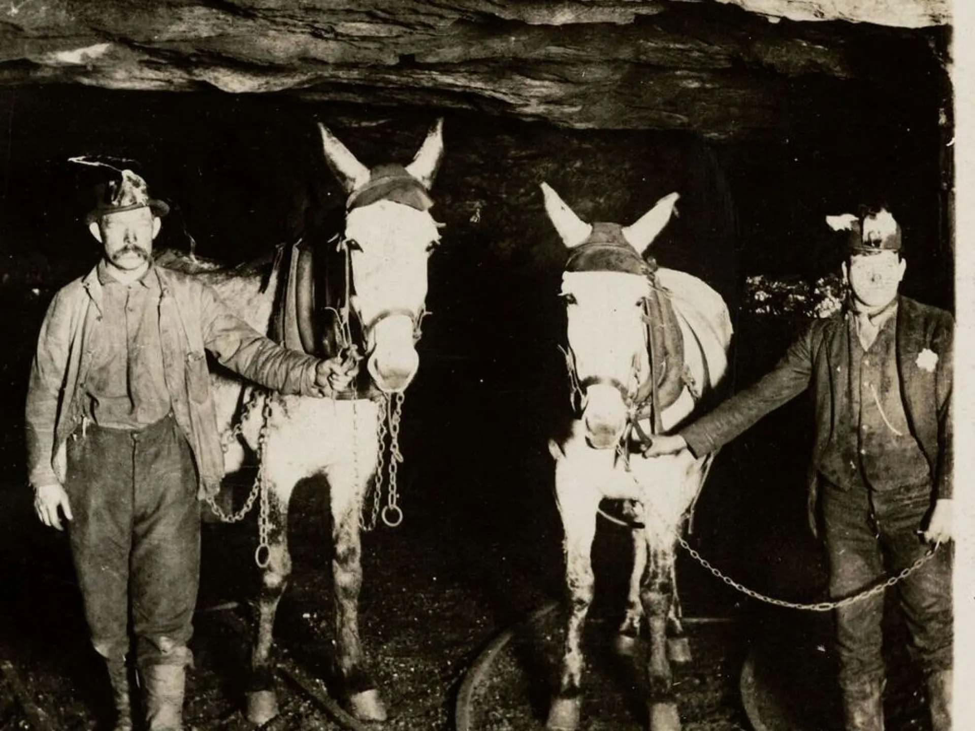 Two anthracite coal miners with their mules at the entrance of a Pennsylvania mine