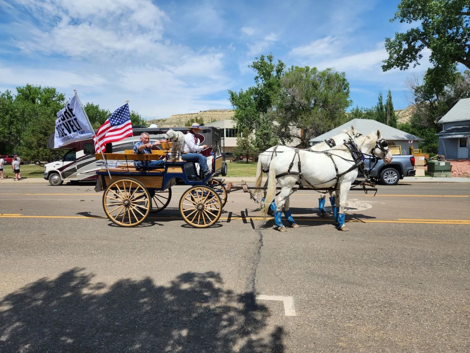 White team of horses pulling a wagon down a Medora street with flags