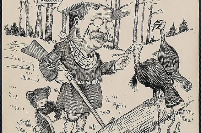 Clifford Berryman cartoon of Theodore Roosevelt hunting turkeys in Virginia