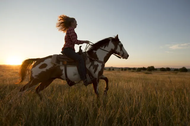 Rider galloping a paint horse across the prairie at sunset