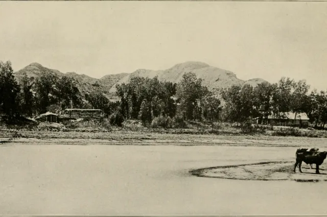 Log ranch buildings among cottonwoods across a wide, shallow river, with eroded buttes behind and a cow standing on a sandbar.