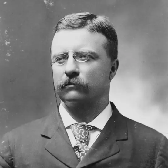 Governor