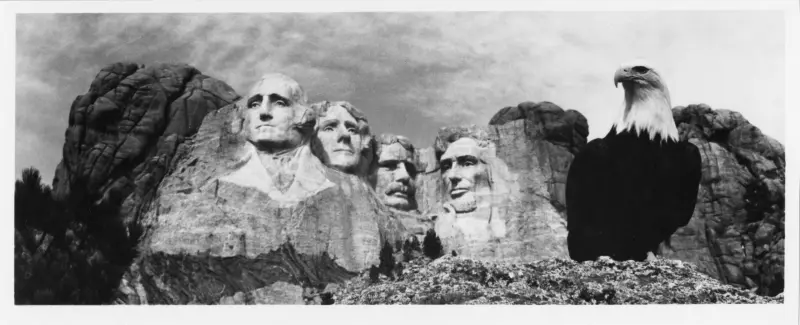 Photograph of eagle in front of Mount Rushmore