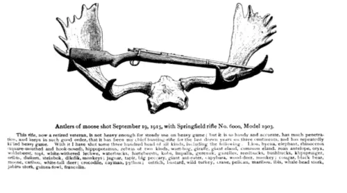 Illustration of Theodore Roosevelt's rifle with antlers of moose he killed