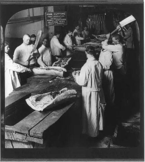 Photograph of butchering hogs in a meatpacking plant