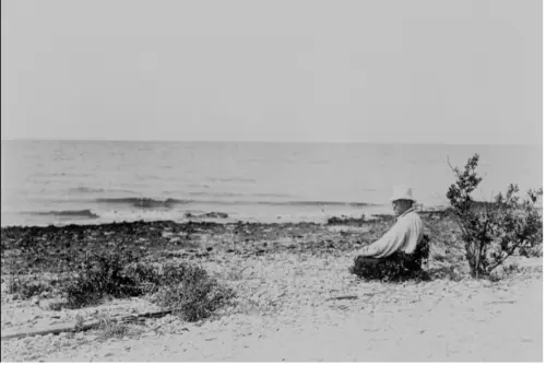 TR at Breton Island National Wildlife Refuge 