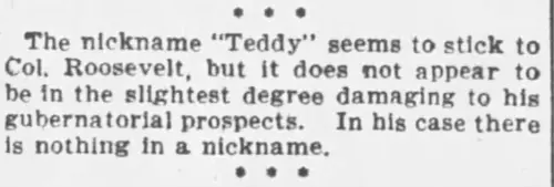 Newspaper article about Teddy nickname