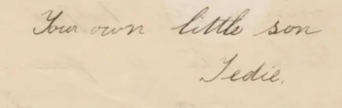 TR's Tedie signature