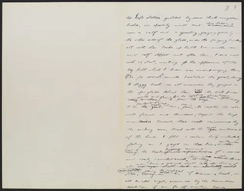 Theodore Roosevelt's handwritten notes on the American bison 