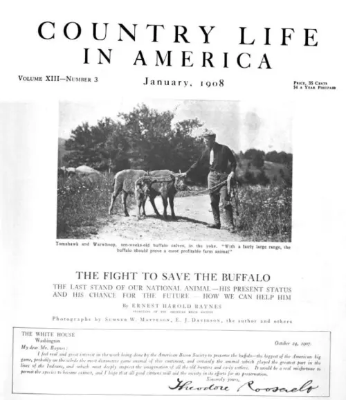 Country Life article in which Theodore Roosevelt endorses bison conservation