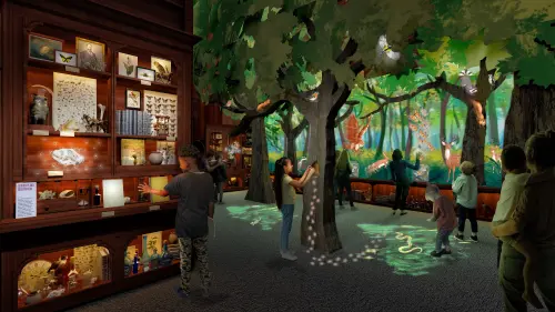 Roosevelt Museum of Natural History 