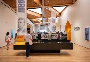 Narrative Galleries