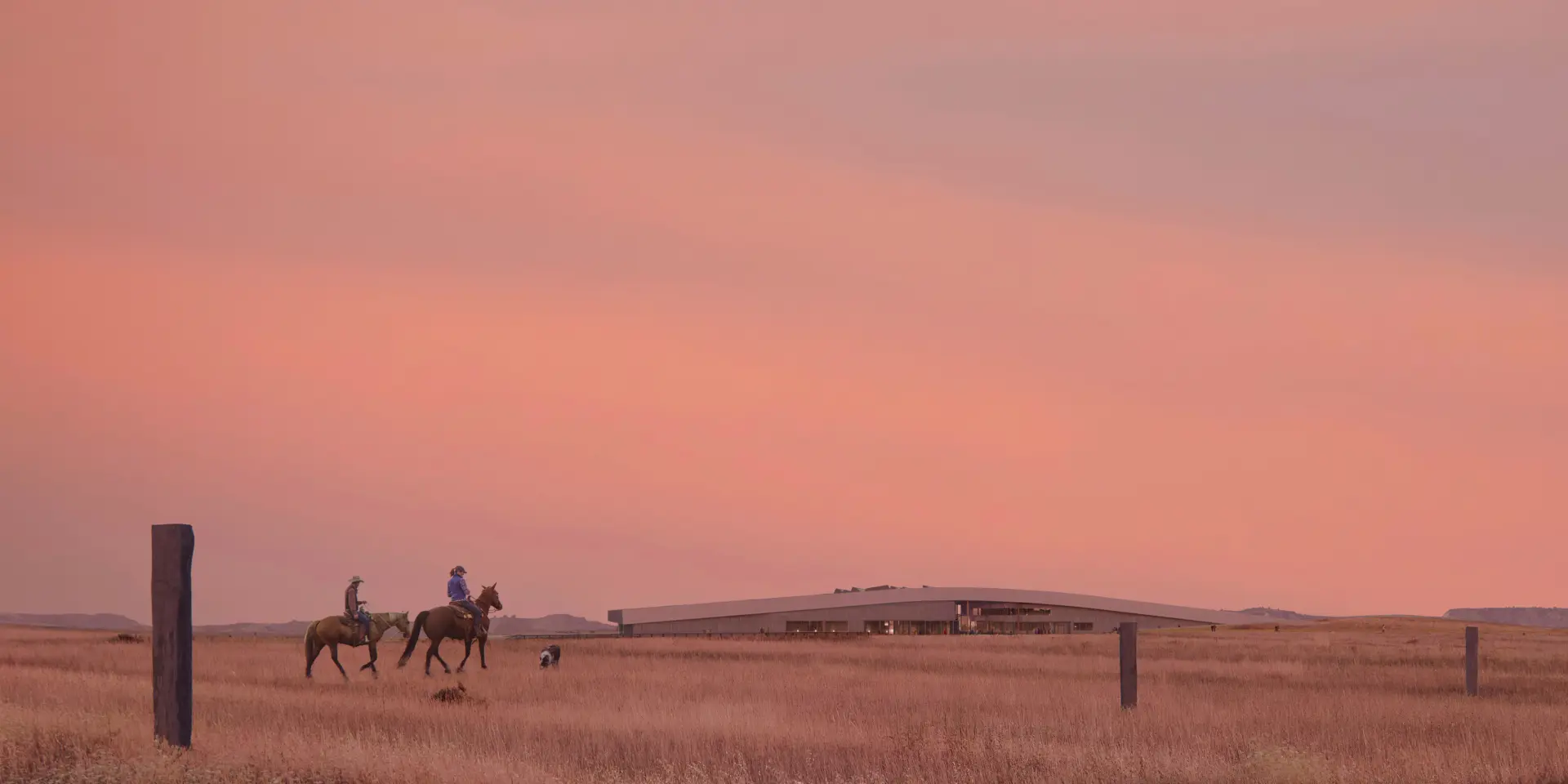 Horses approaching the Library