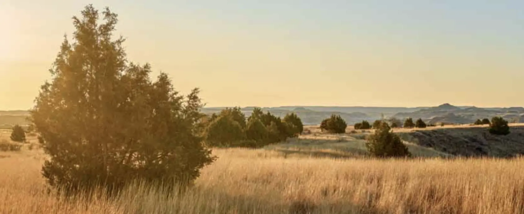 North Dakota Prairie