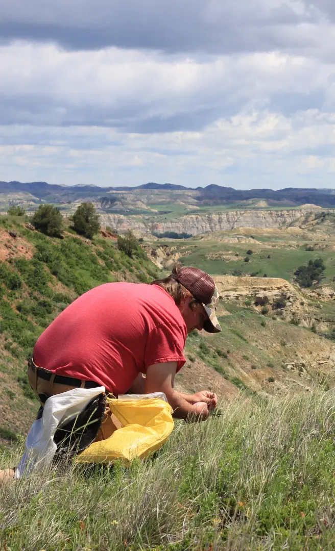 Collecting Seed in the Badlands