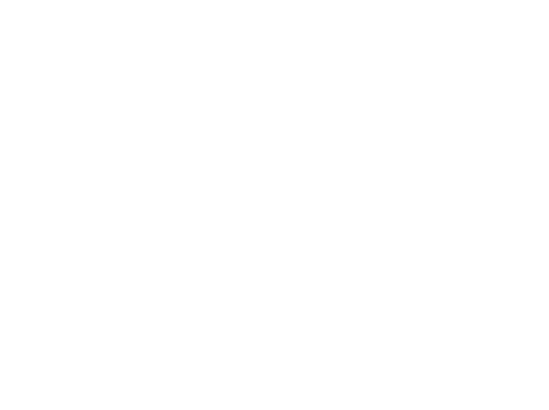 Medora 250 Logo