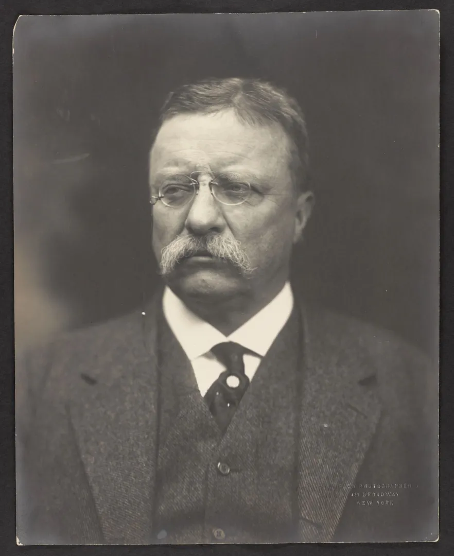 Formal bust portrait of Theodore Roosevelt facing front, wearing a suit and tie