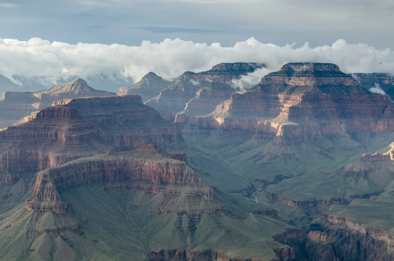 Sweeping view of the Grand Canyon's layered cliffs and side canyons