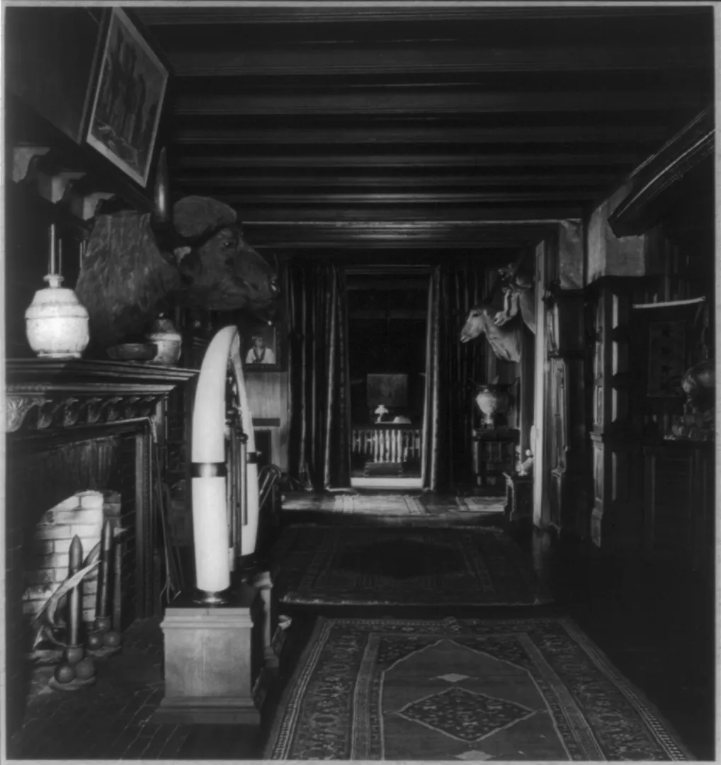 The North Room at Sagamore Hill, filled with hunting trophies, elephant tusks and mounted animal heads