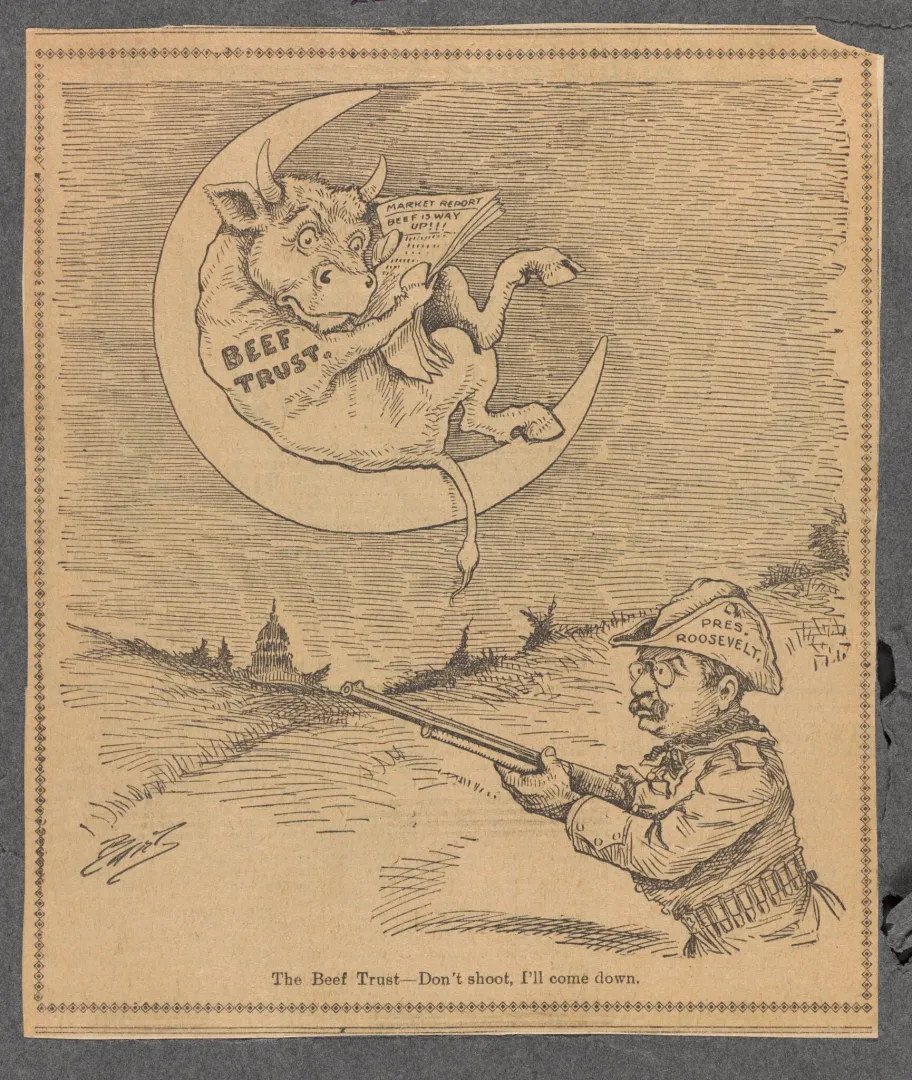 Political cartoon of Theodore Roosevelt as a hunter aiming a rifle at a bull labeled Beef Trust