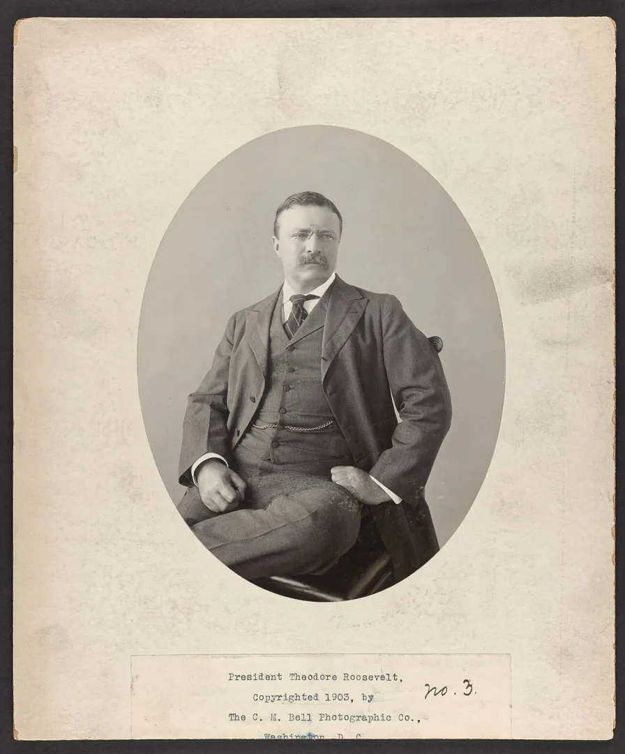 Studio portrait of President Theodore Roosevelt seated, three-quarter length