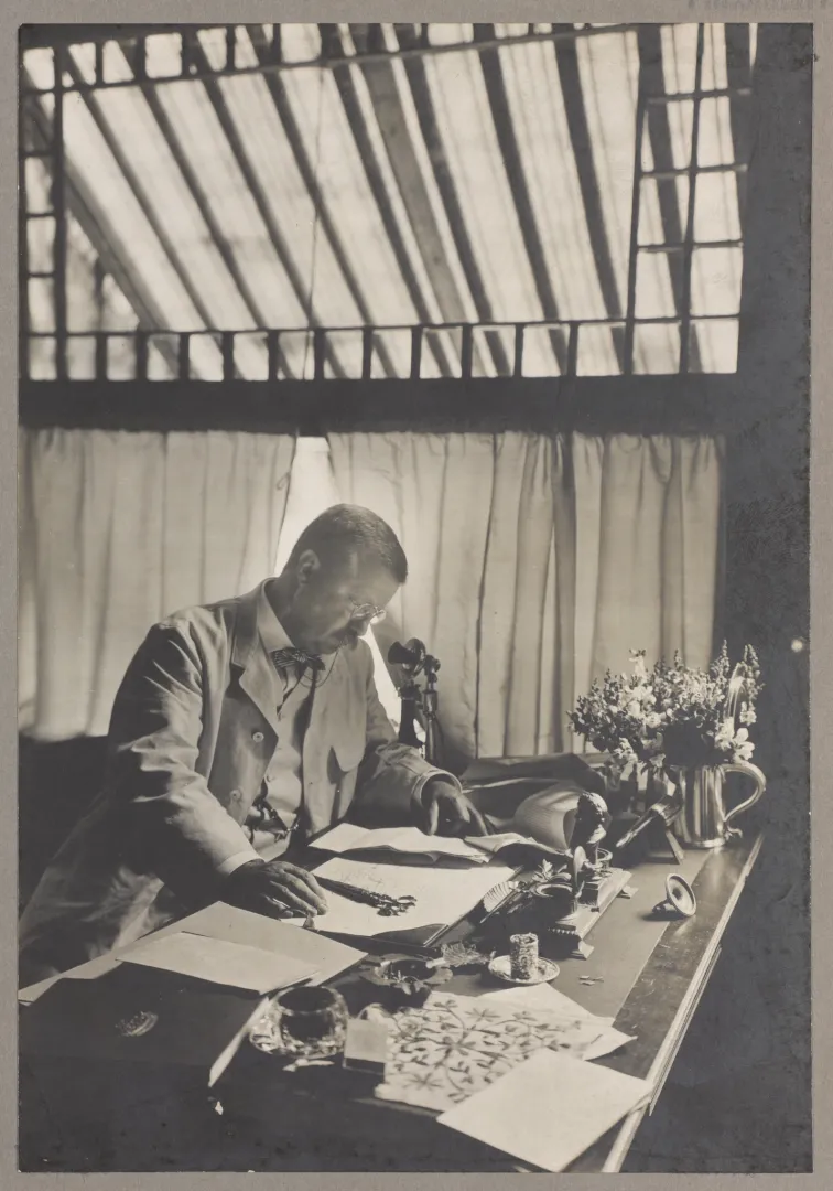Theodore Roosevelt seated writing at his desk at Sagamore Hill