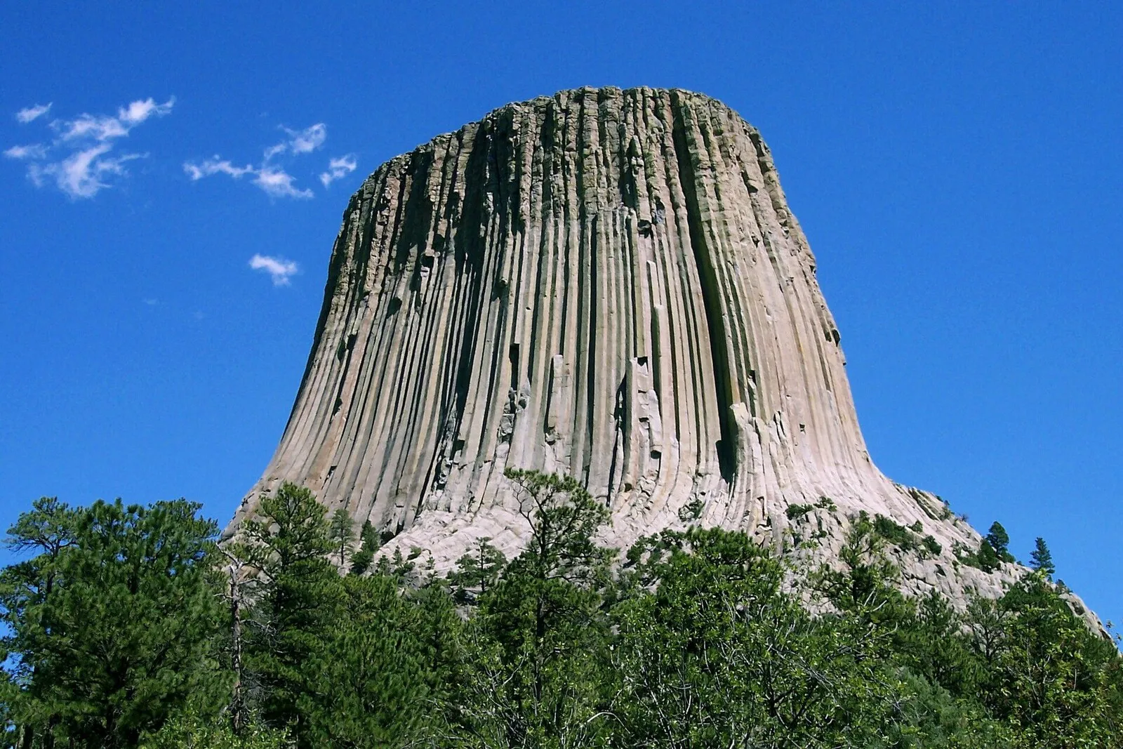 Devils Tower rising above pine forest against a blue sky, Wyoming