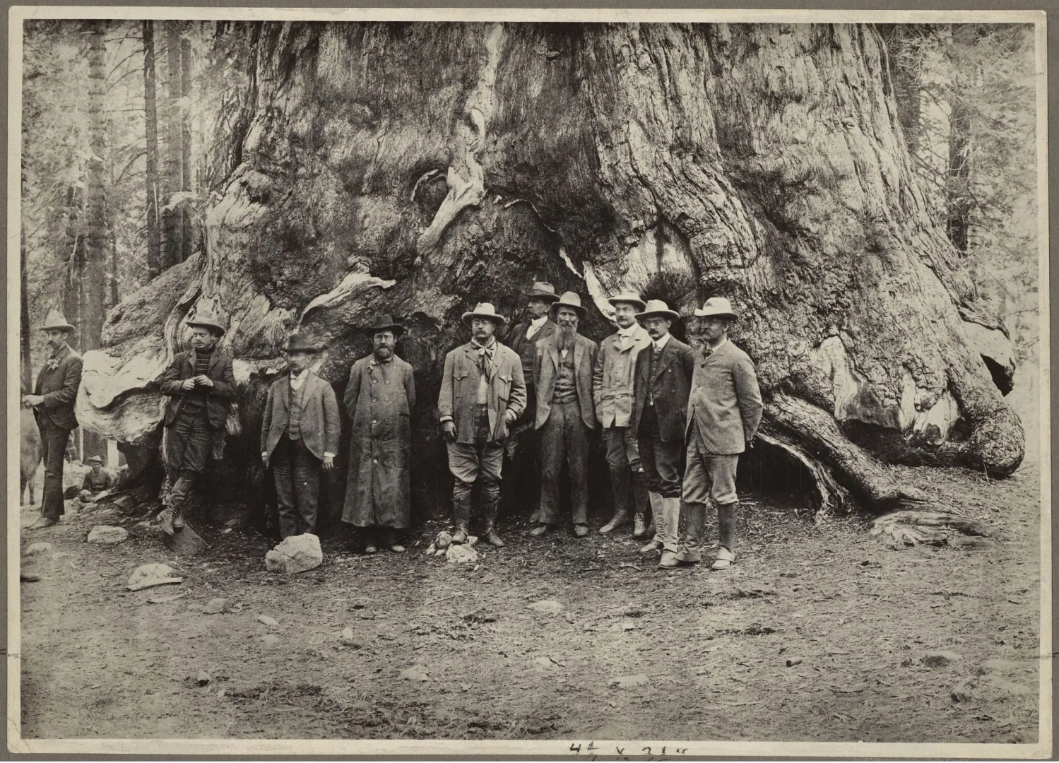 Group including Theodore Roosevelt at the base of a giant sequoia in Yosemite