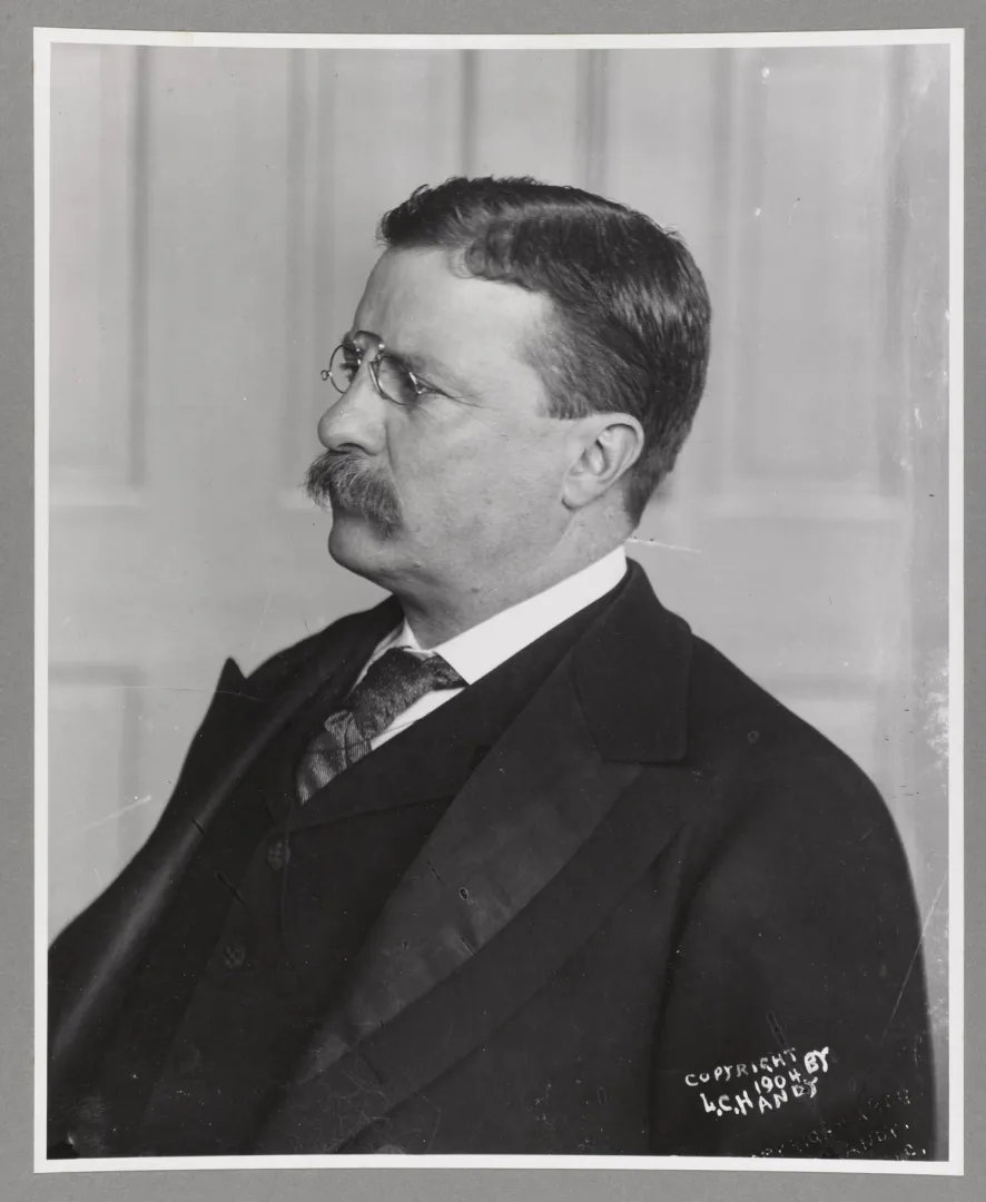 Theodore Roosevelt head-and-shoulders left profile portrait, 1913