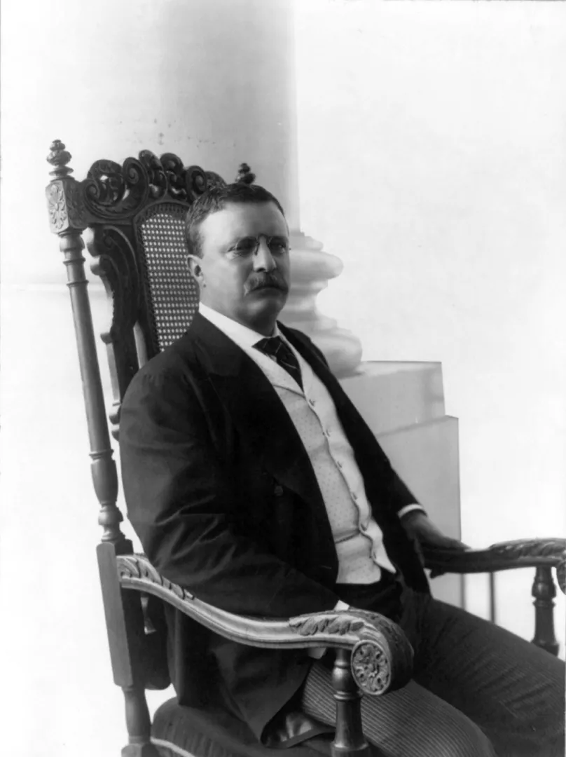 Black-and-white photograph of Theodore Roosevelt seated in an ornate chair