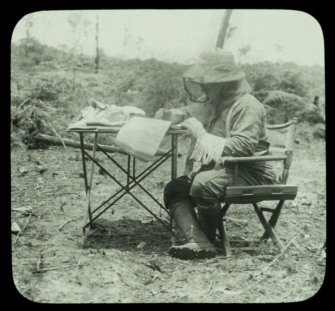 Theodore Roosevelt seated at a folding table writing in a South American jungle camp