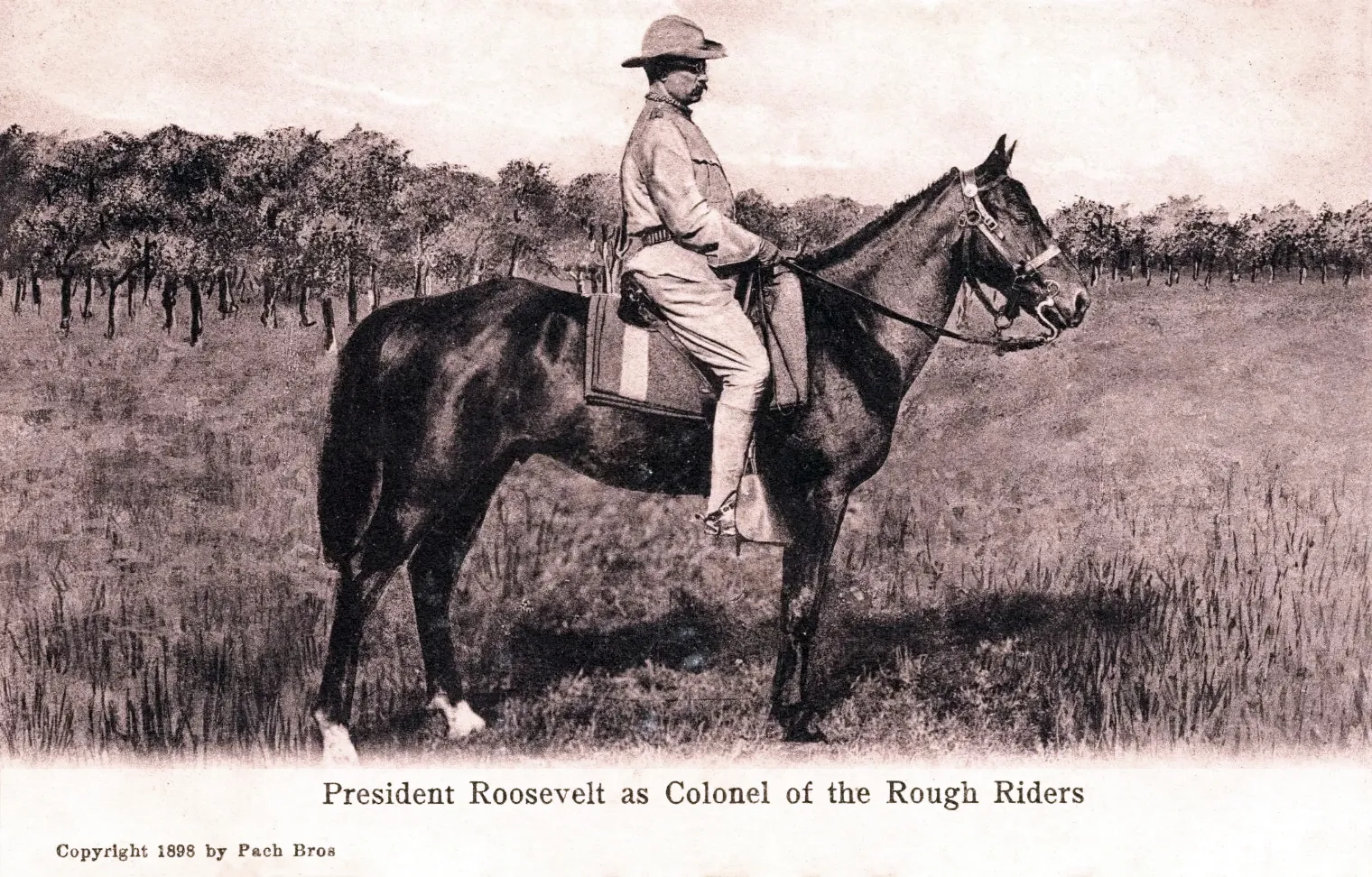 Colonel Theodore Roosevelt on horseback in his Rough Rider uniform, 1898
