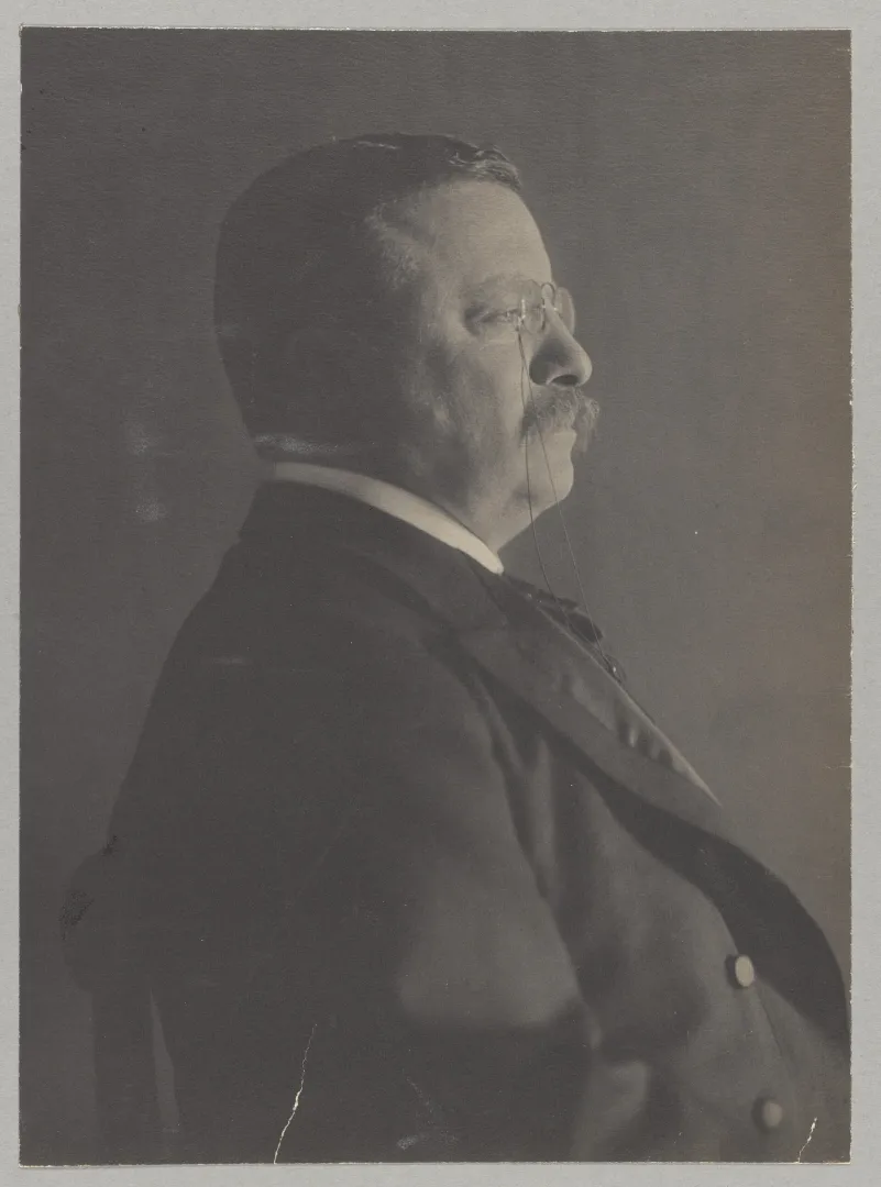Formal portrait of Theodore Roosevelt in profile